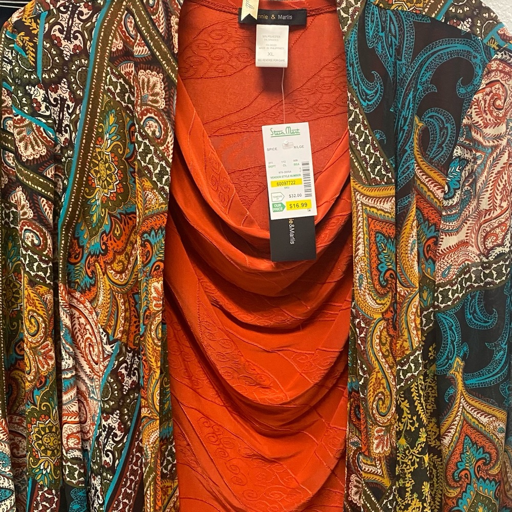 Sandra Darren Orange and Multicolor Paisley Dress